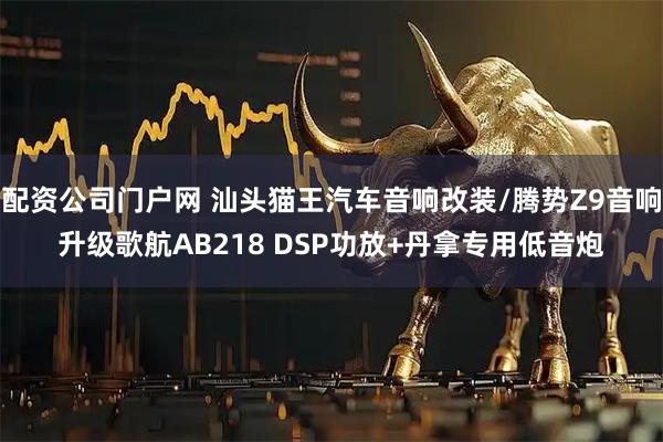 配资公司门户网 汕头猫王汽车音响改装/腾势Z9音响升级歌航AB218 DSP功放+丹拿专用低音炮